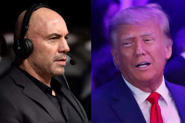 Joe Rogan; Donald Trump