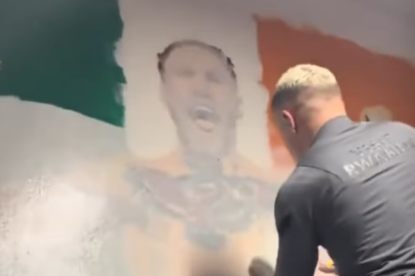 Conor McGregor&#8217;s mural removal