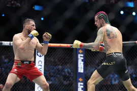 Merab Dvalishvili, Sean O'Malley