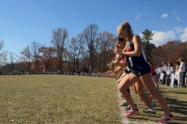 Virginia High School League State Cross-Country League