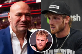 Dana White, Logan Paul, Jake Paul