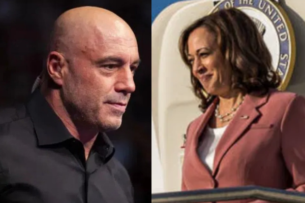 Joe Rogan, Kamala Harris