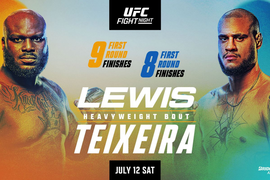 Derrick Lewis, Tallison Teixeira