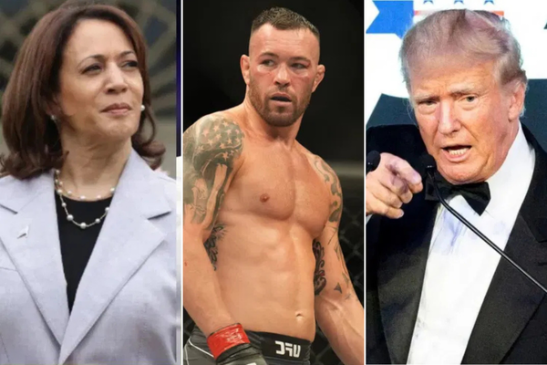 Kamala Harris, Colby Covington, Donald Trump