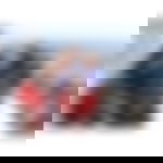 article-image