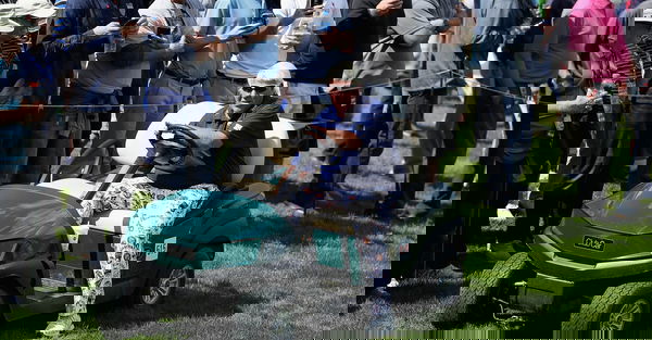feature-image