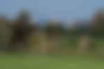 East Potomac Golf Course