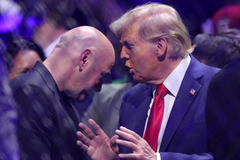 Dana White Donald Trump