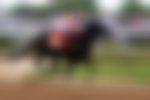 Kentucky Derby, Danon Bourbon