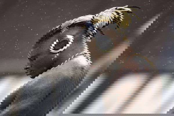 feature-image