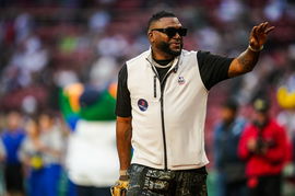 David Ortiz