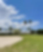 article-image