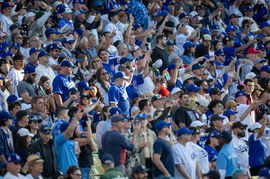 Dodgers fans