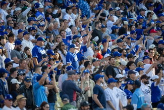 Dodgers fans