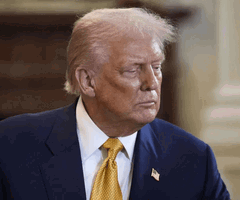 Donald Trump_UFC-NL-FIs