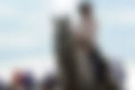 Kentucky Derby, Donna Brothers, Preakness Stakes