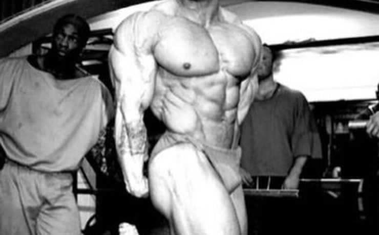スポーツ・フィットネス Dorian Yates 6X Mr. Olympia DVD 15th スポーツ・フィットネス Dorian Yates 6X Mr. Olympia DVD 15th