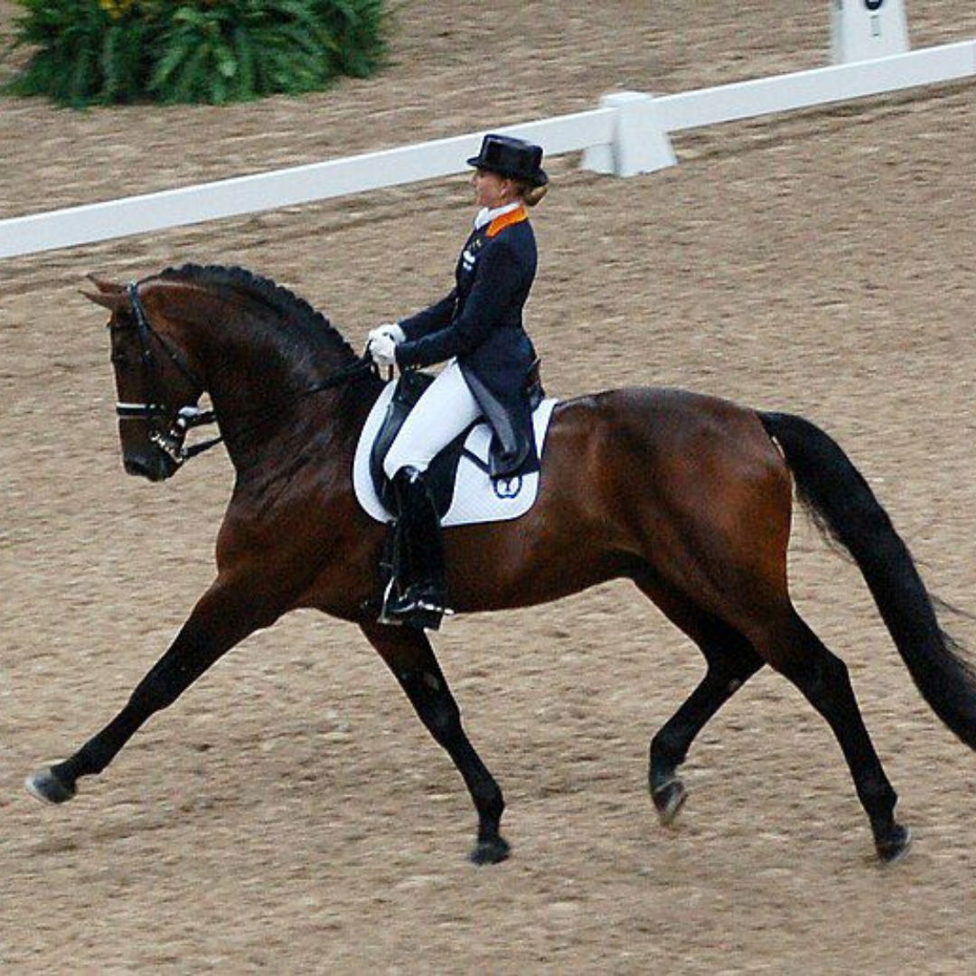 As Paris Olympics 2024 Draws Near Canada Unveils Equestrian Para 