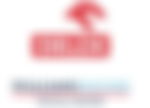 article-image