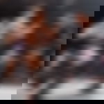 article-image