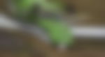 article-image