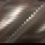 article-image