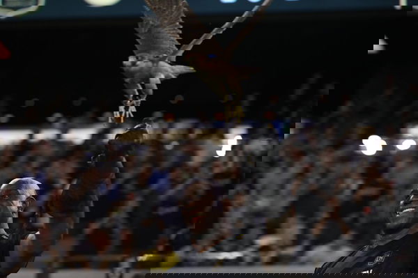 feature-image