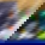 article-image