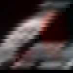 article-image
