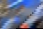article-image