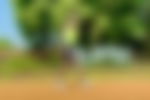 article-image