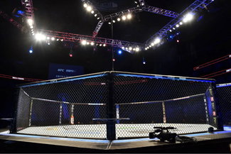 Empty UFC Octagon