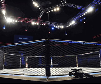 Empty UFC Octagon_UFC-NL-FIs
