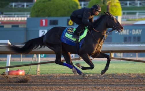 Who is Rodriguez? Everything About Kentucky Derby 2025 Horse: Owner, Trainer, Earnings and More