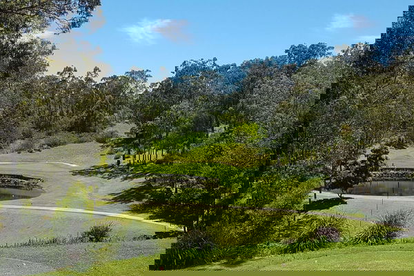 feature-image