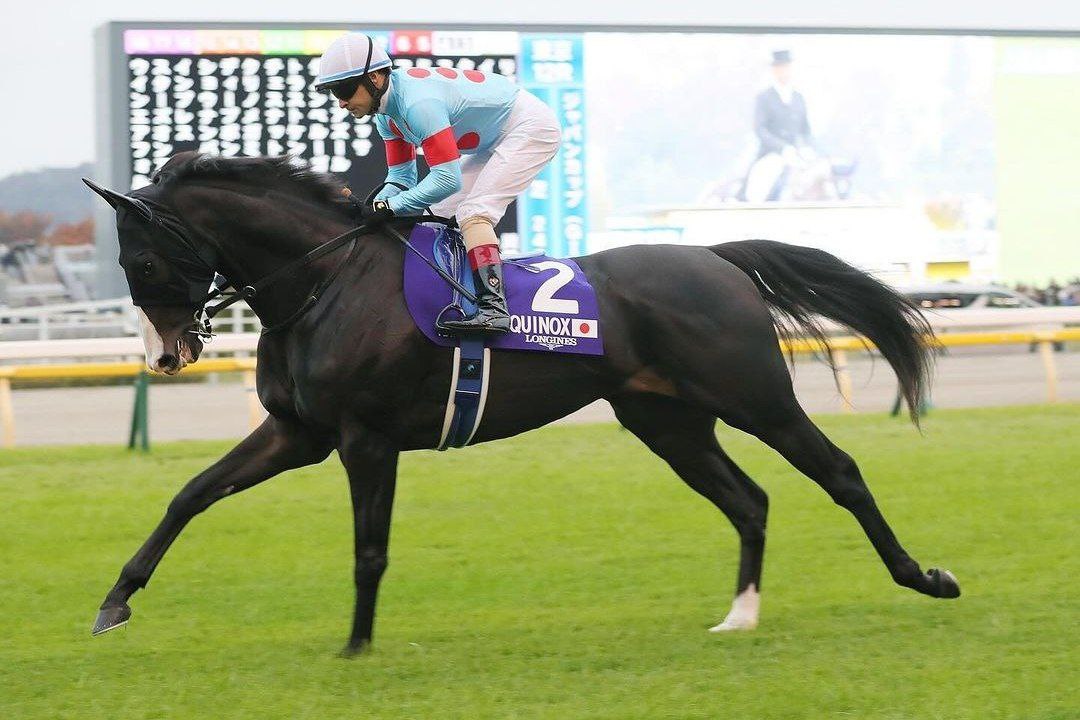 Kentucky Derby 2024 Despite Fierceness’ Unflinching Odds, Fans Rave