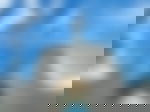 article-image