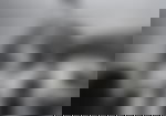 article-image