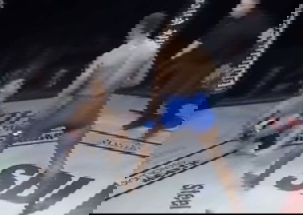 feature-image