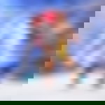 article-image