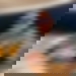 article-image