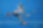 article-image