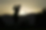 female silhouette