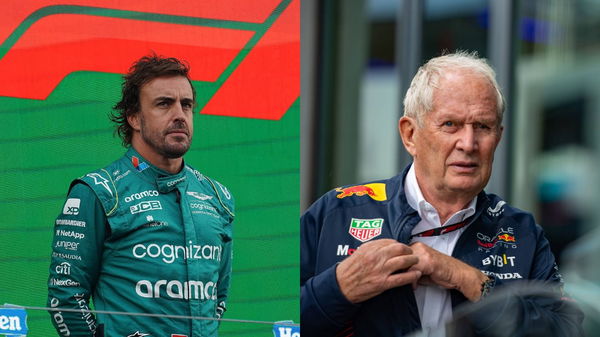 Fernando Alonso &#038; Helmut Marko