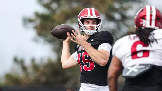 Fernando Mendoza, QB, Indiana