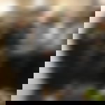 article-image