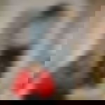 article-image