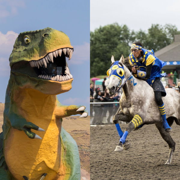 T rex race at Emerald Downs