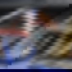article-image