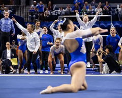 Florida Gators